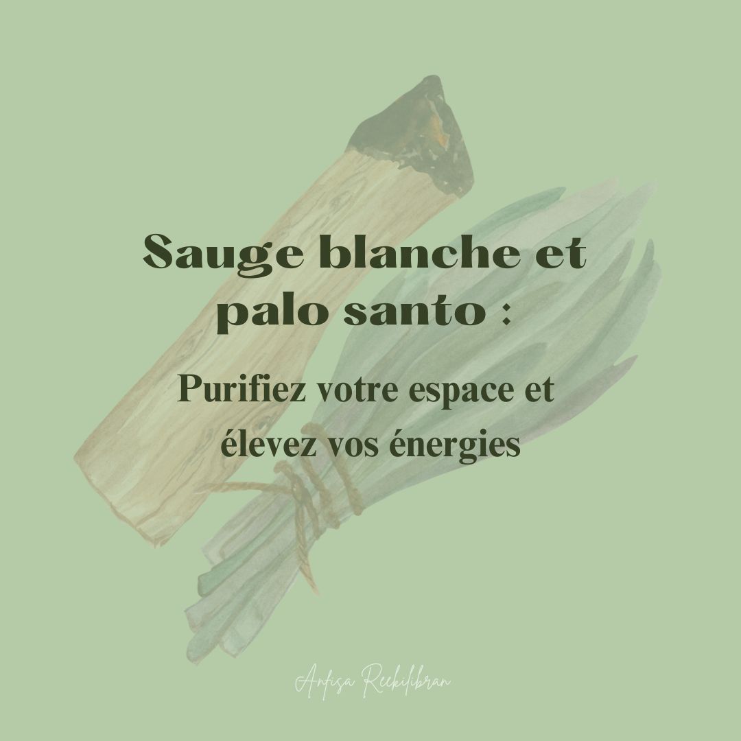 Sauge blanche et palo santo : Purifiez votre espace et élevez vos énergies