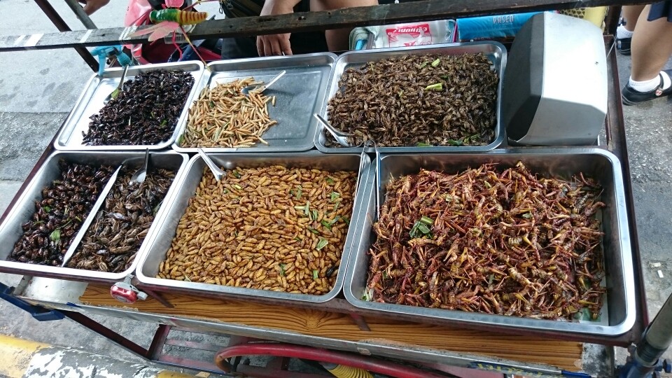 ...Zu besonderen Leckereien...