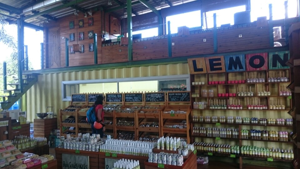 ....zur Lemongras Fabrik....