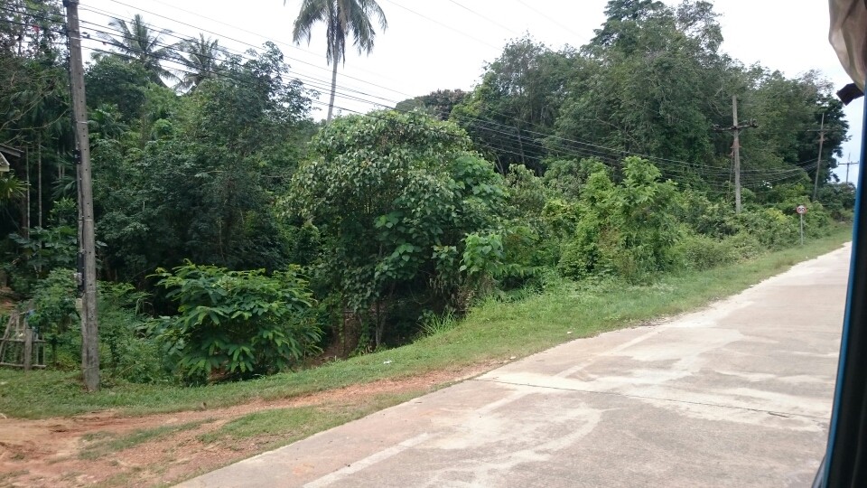 ...Maria und Jo lassen sich mit dem Pickup einmal quer über Koh Lanta flitzen...