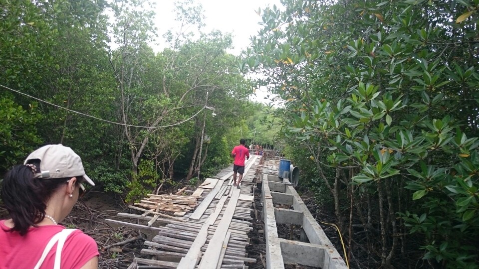 ...um dann über gewagte Pfade....