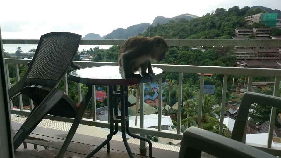 Besuch haben wir auch gleich bekommen😀