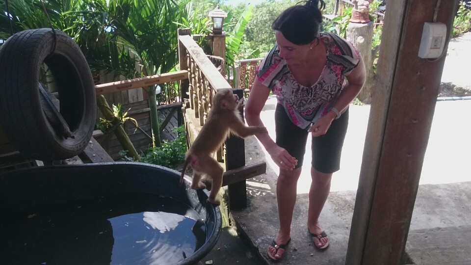 ... Maria hat sich als Tierbändiger mit Affen...