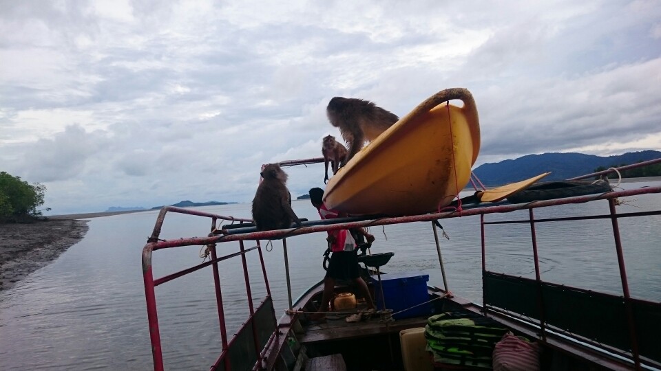 ...und als es nichts mehr gab habem sie sich aufsDach verzogen und sind von dort aus wieder ins Wasser gesprungen...