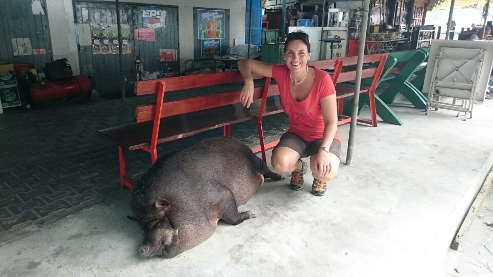 Ein Glücksschwein für unsere gebuchte Bangkokführung