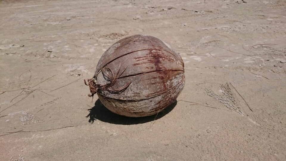 08.11.2015 ist unser erster Tag am Strand zur Erholung