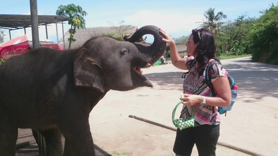 ....und Elefantenbabys versucht....