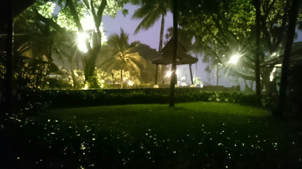 Zum Abend gibt es noch einen tollen Tropenregen...umd für die Valaltaner: heute treffen wir Markus und Helga die sind von China her geflogen. Zufälle gibts...