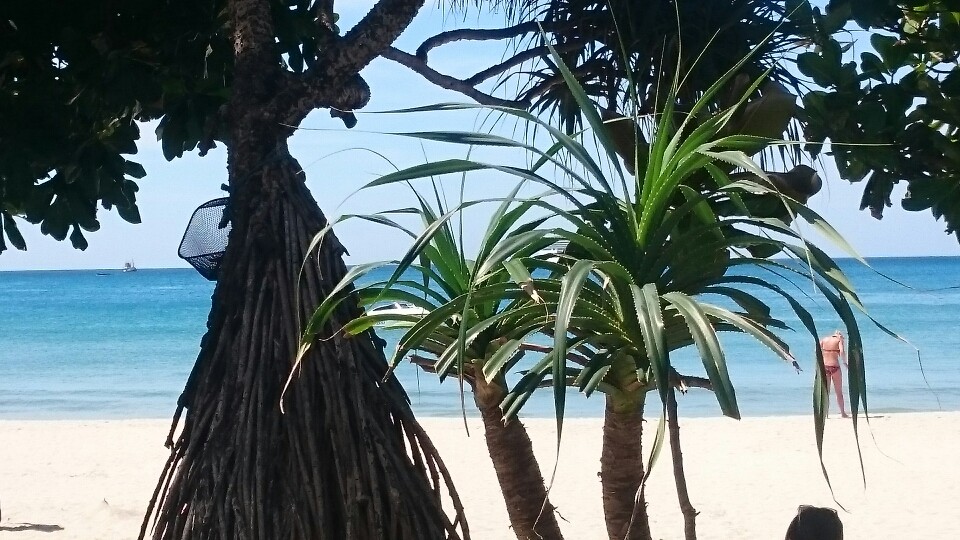 Heute verbringen wir wieder einen Erholungstag am Meer...alle hatten uns gewarnt, die Nächte in Patong sind wirklich sehr lang😀😀....  