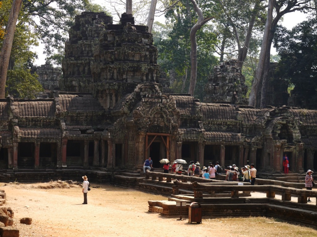 Im Dschungel von Angkor Wat 