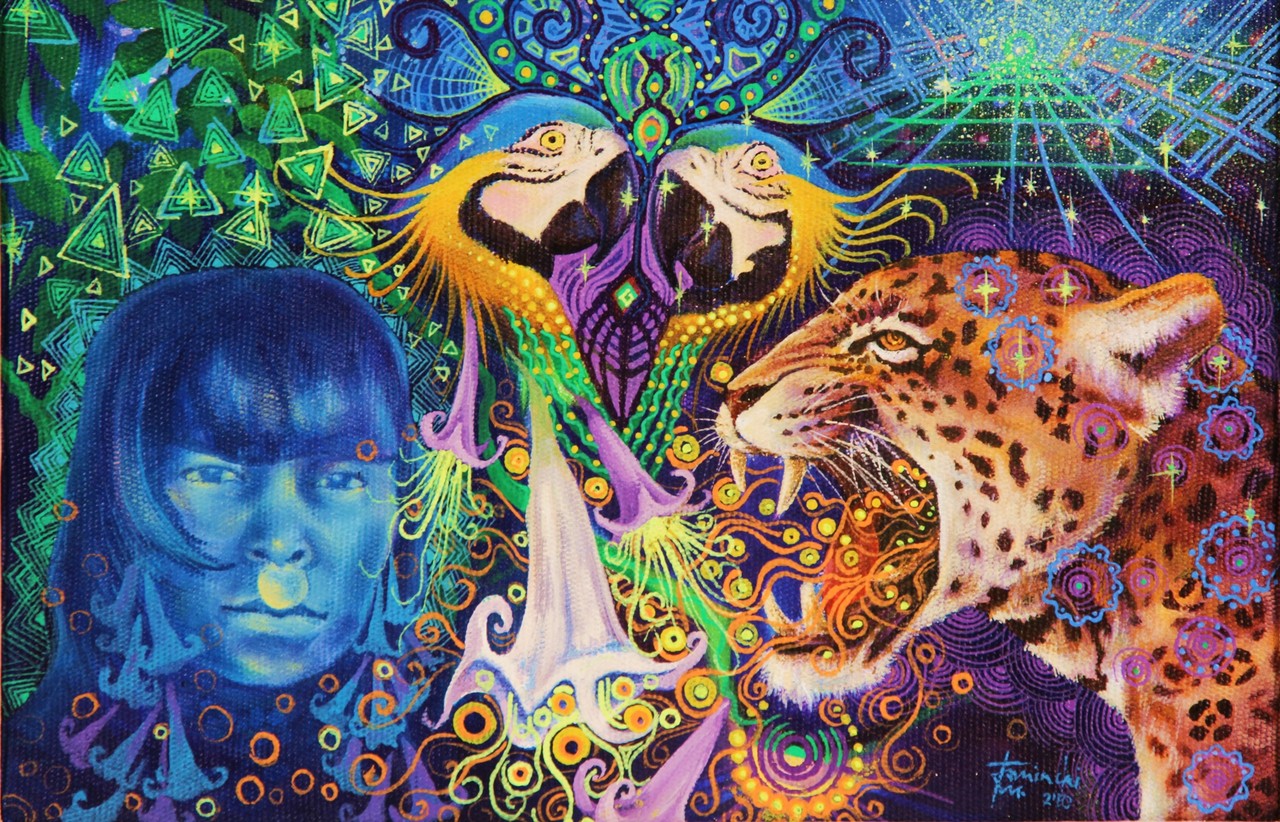 LSD DMT Psilocin Psilocibin DET Psilos Zauberpilze Geringe ...
