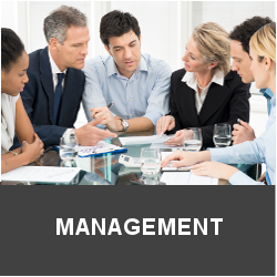 Management / Beratung / Consulting / Interim Management