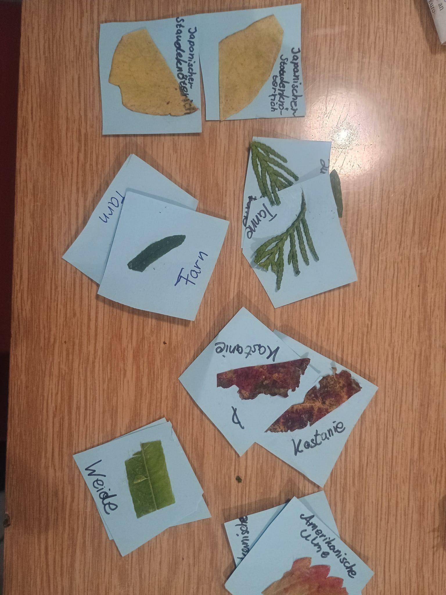 Basteln mit Naturmaterialien (November 2025) ©NAJU/Bogena