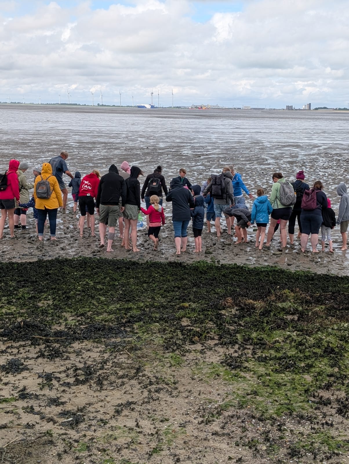 Wattwanderung bei der Bohrinsel Dyksterhusen (Juli 2025) ©NABU/Ratering