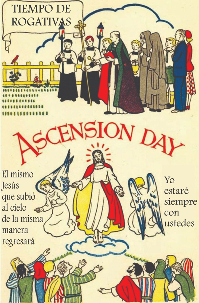 Recordemos que nosotros celebramos el día de la Ascensión del Señor el día jueves 18 de mayo el cual no se transfiere para el proximo domingo, según nuestro ordo calendario conforme a nuestra tradición continuante