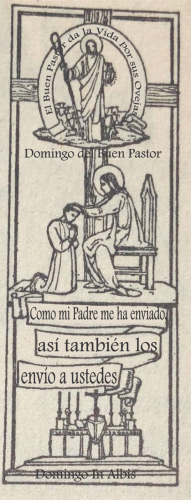 TIEMPO PASCUAL I Domingo de Pascua - Domingo “in albis” o de “Quasimodo”. II Domingo - Domingo del Buen Pastor.