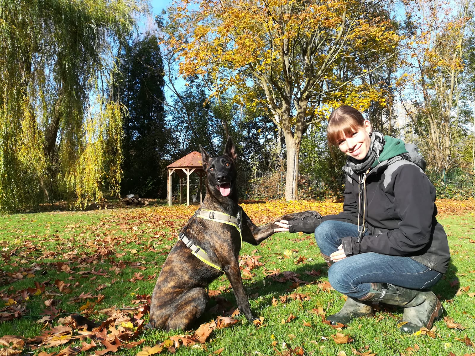 So wirst Du glücklich mit Deinem Hund - im Training
