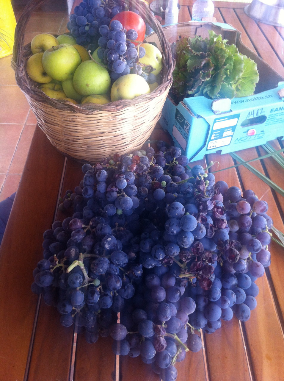 Uvas de la huerta