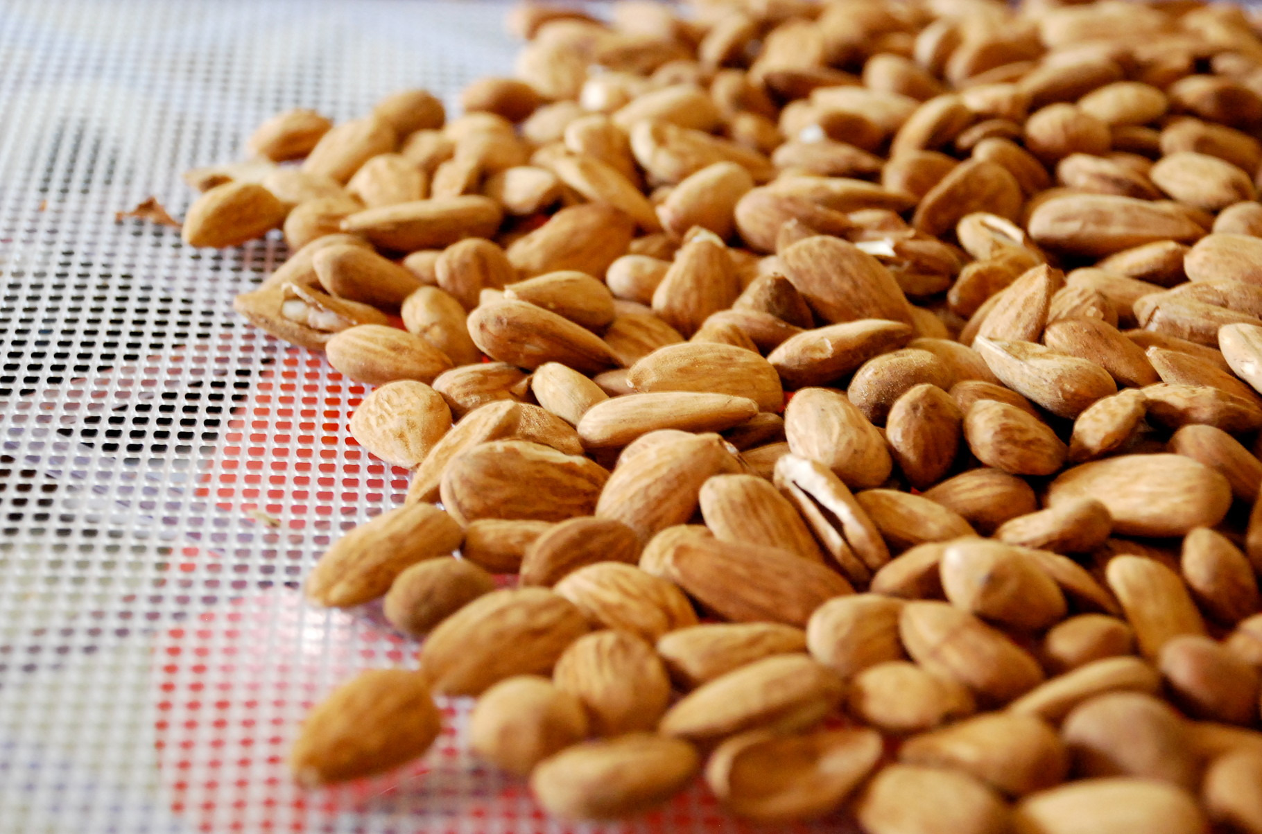 Almendras con curry