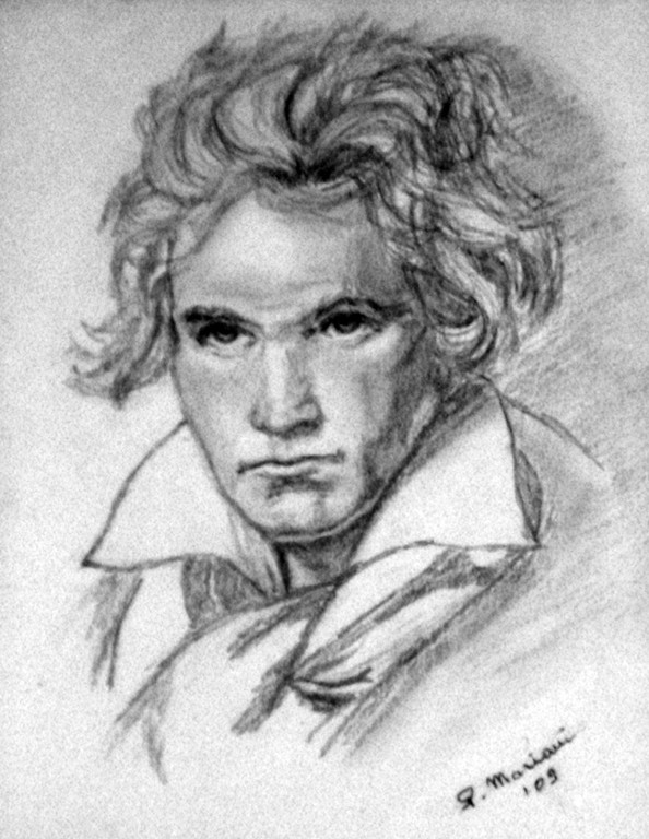 "Beethoven",25x20cm,matita su carta.