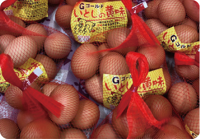 江連養鶏場