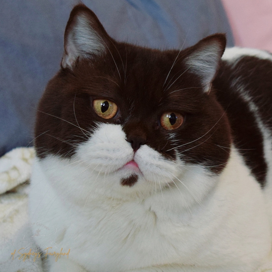 Foto: Billi von Prinzenland *DE