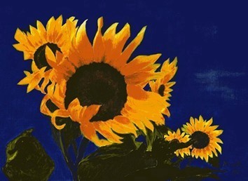 Sonnenblumen, Öl
