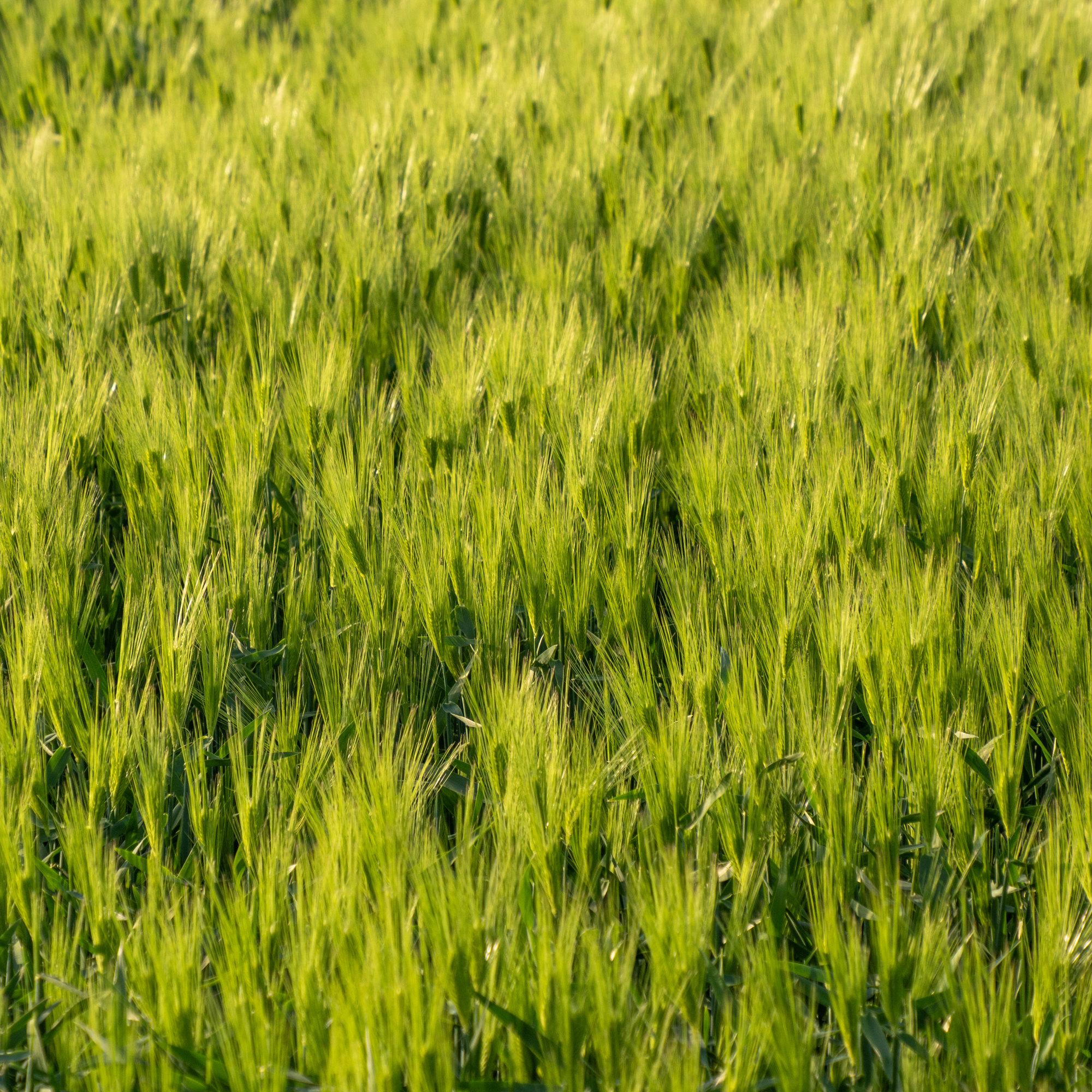 calibrite colorchecker DISPLAY PRO / PLUS レビュー - mycolorsp