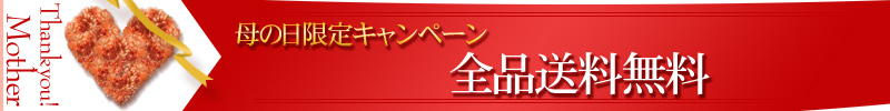 母の日プレゼントパワーストーンブレスレット