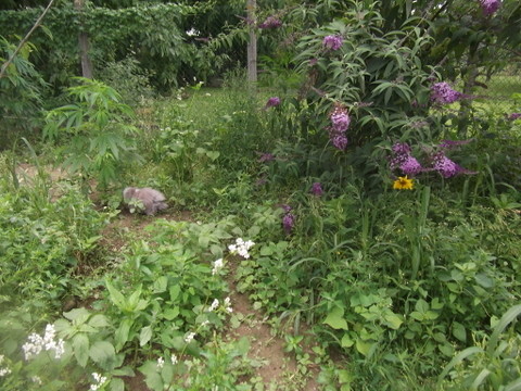 Rose dans le parc: Mais ou sont les autres?