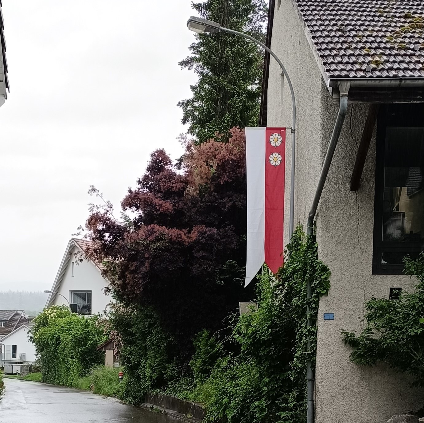 Wettervorhersage - Auswirkungen aufs Programm