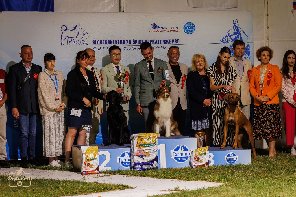 res BEST IN SHOW aus allen Hunderasen