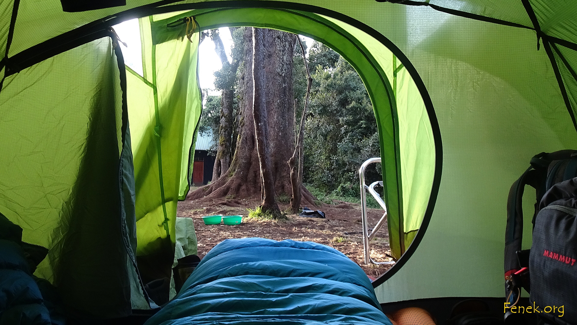 erstes Camp - Blick aus dem Schlafzimmer.....