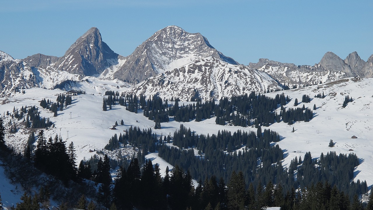 Freiburg's schönste Berge - Brenleire und Follieran