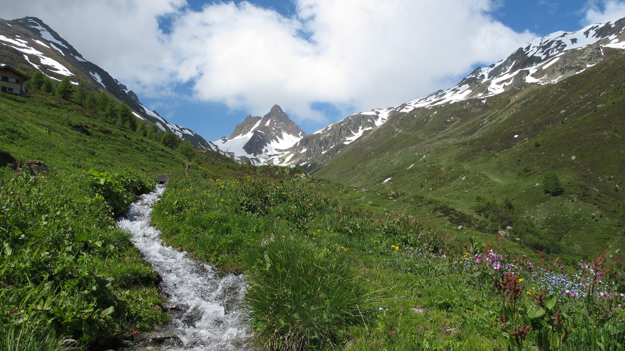 Faldumrothorn