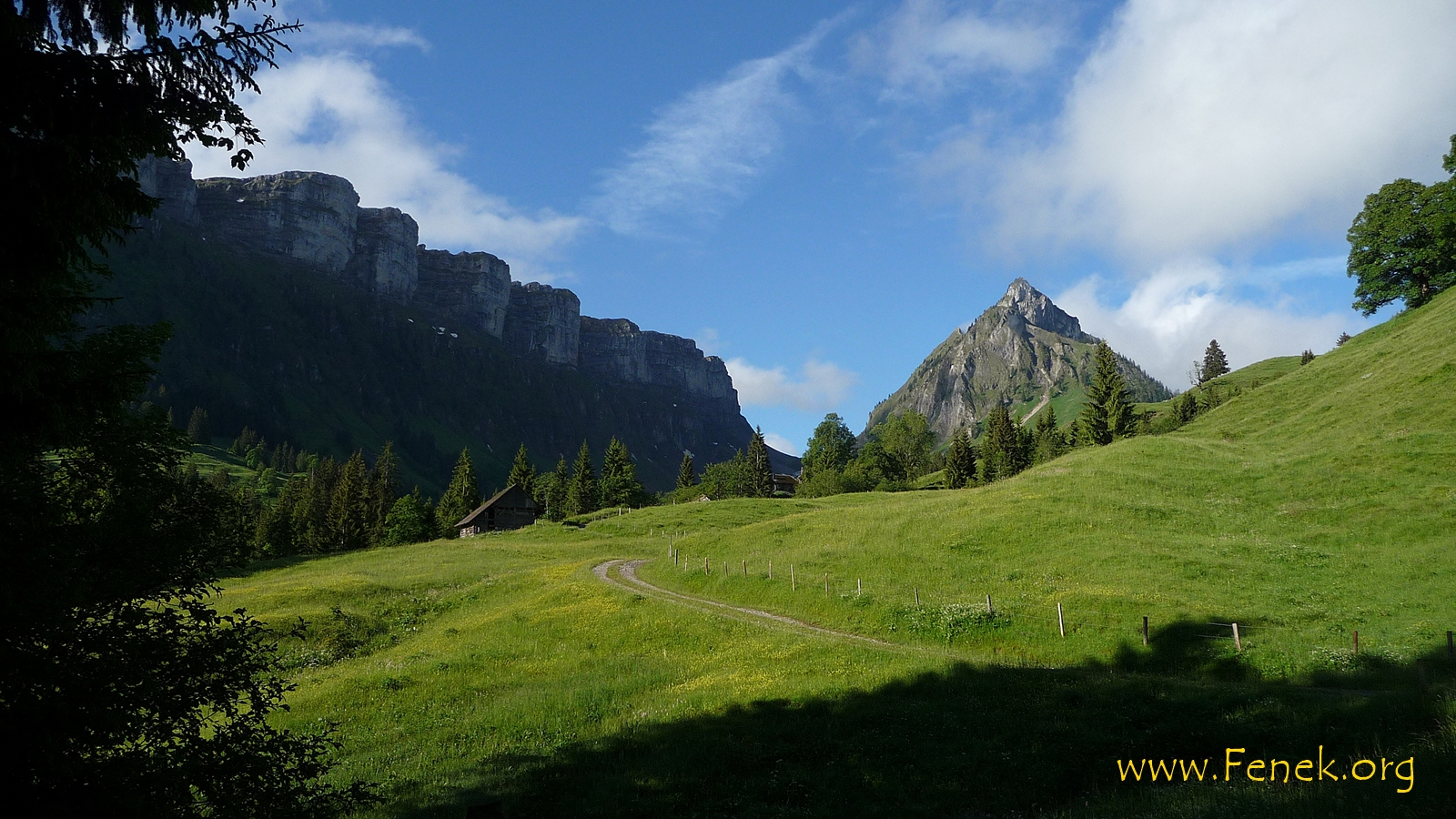 morgens mit Sicht zu Burst und links sieben Hengste