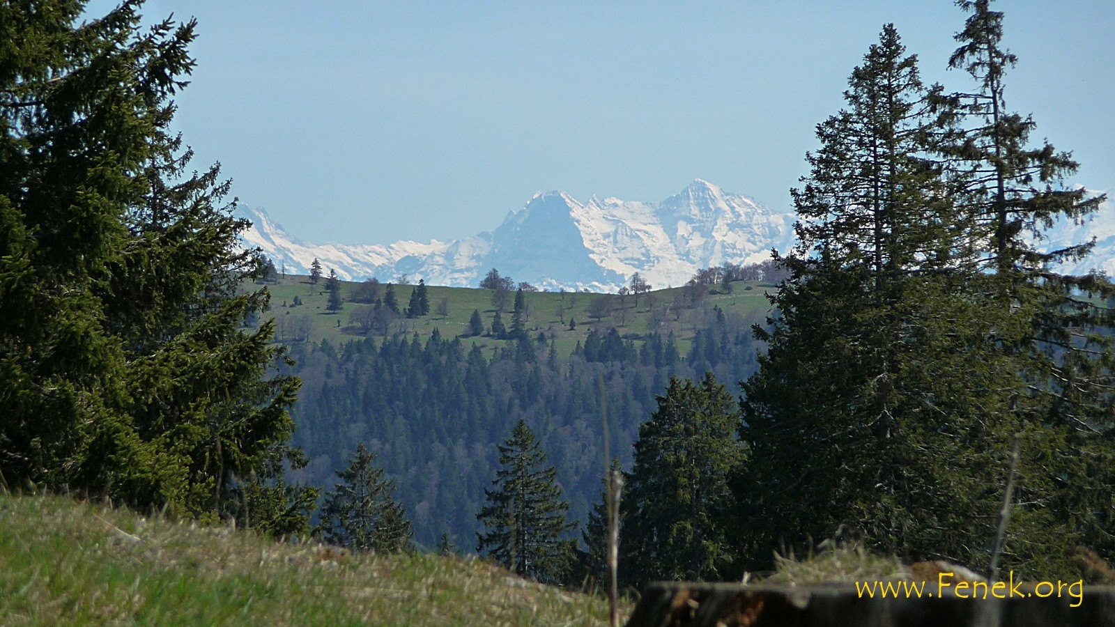 bekannte Berner