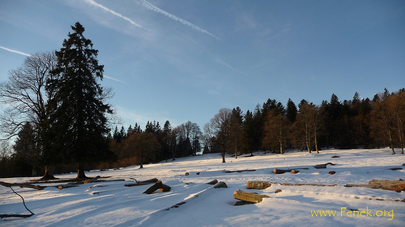 Jura Landschaft