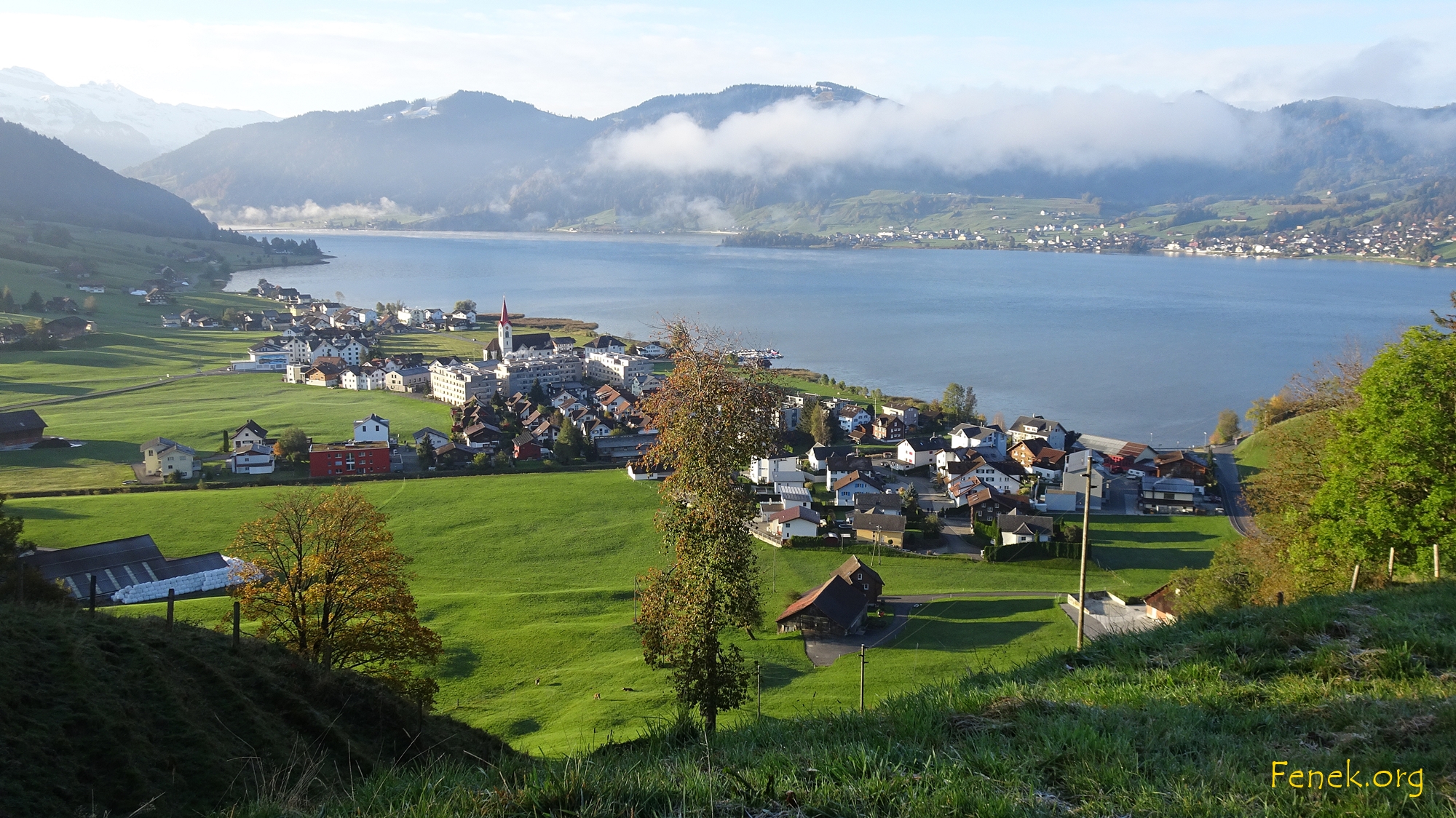 Willerzell