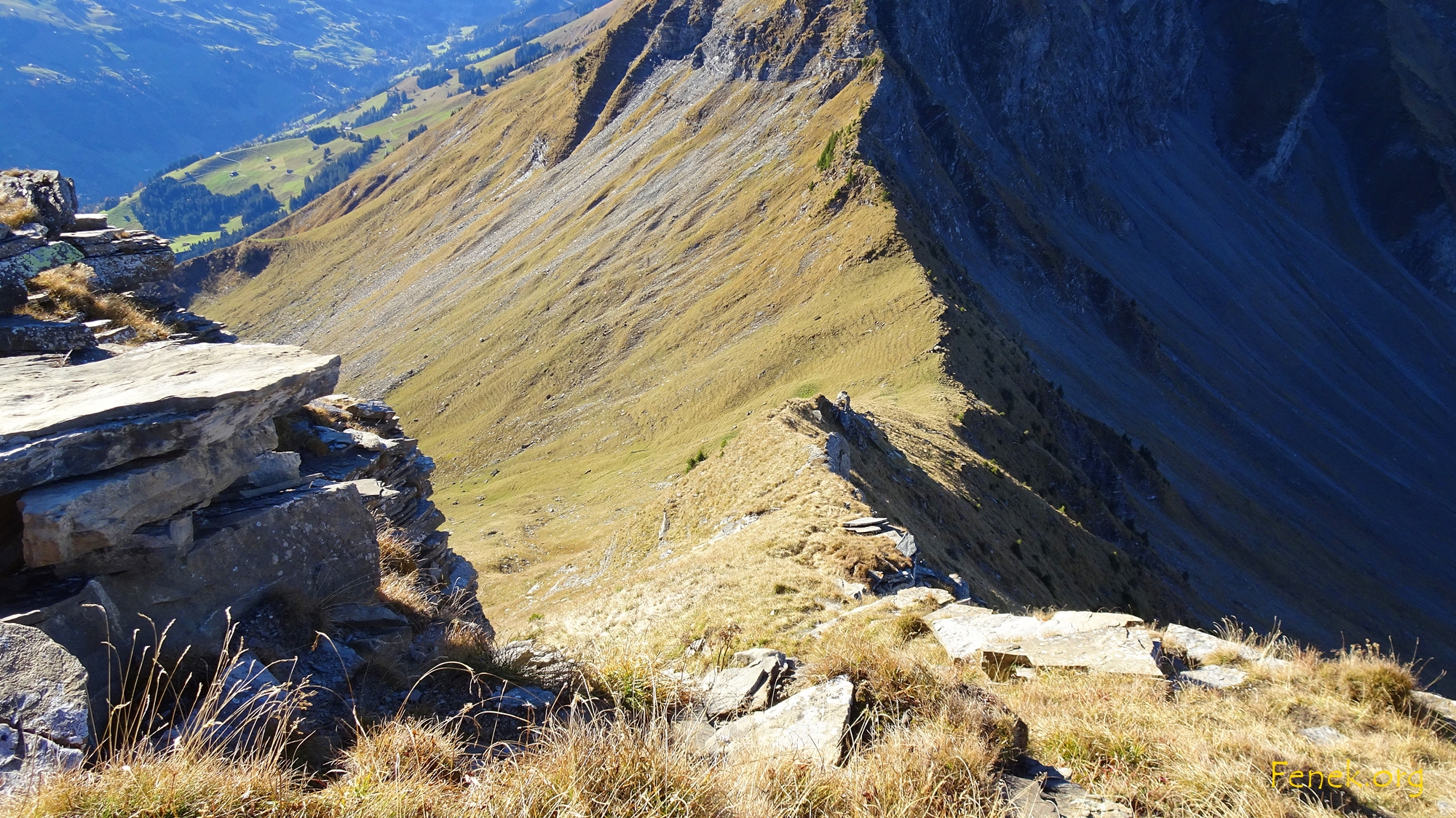 im Aufstieg zur Wyssi Flue ein Blick hinunter zum Sattel