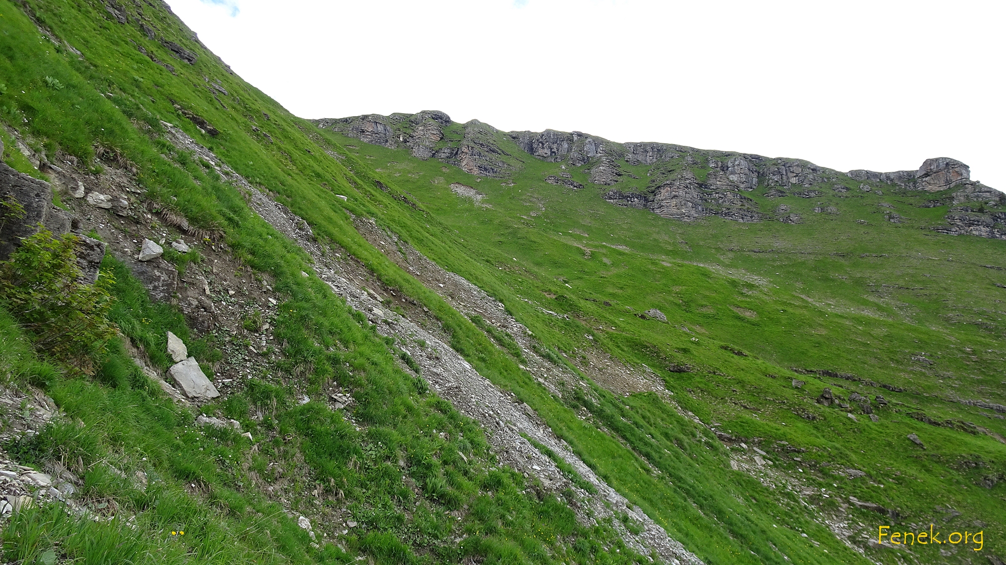 Ein Eindruck des Geländes, dazu noch nass :-(