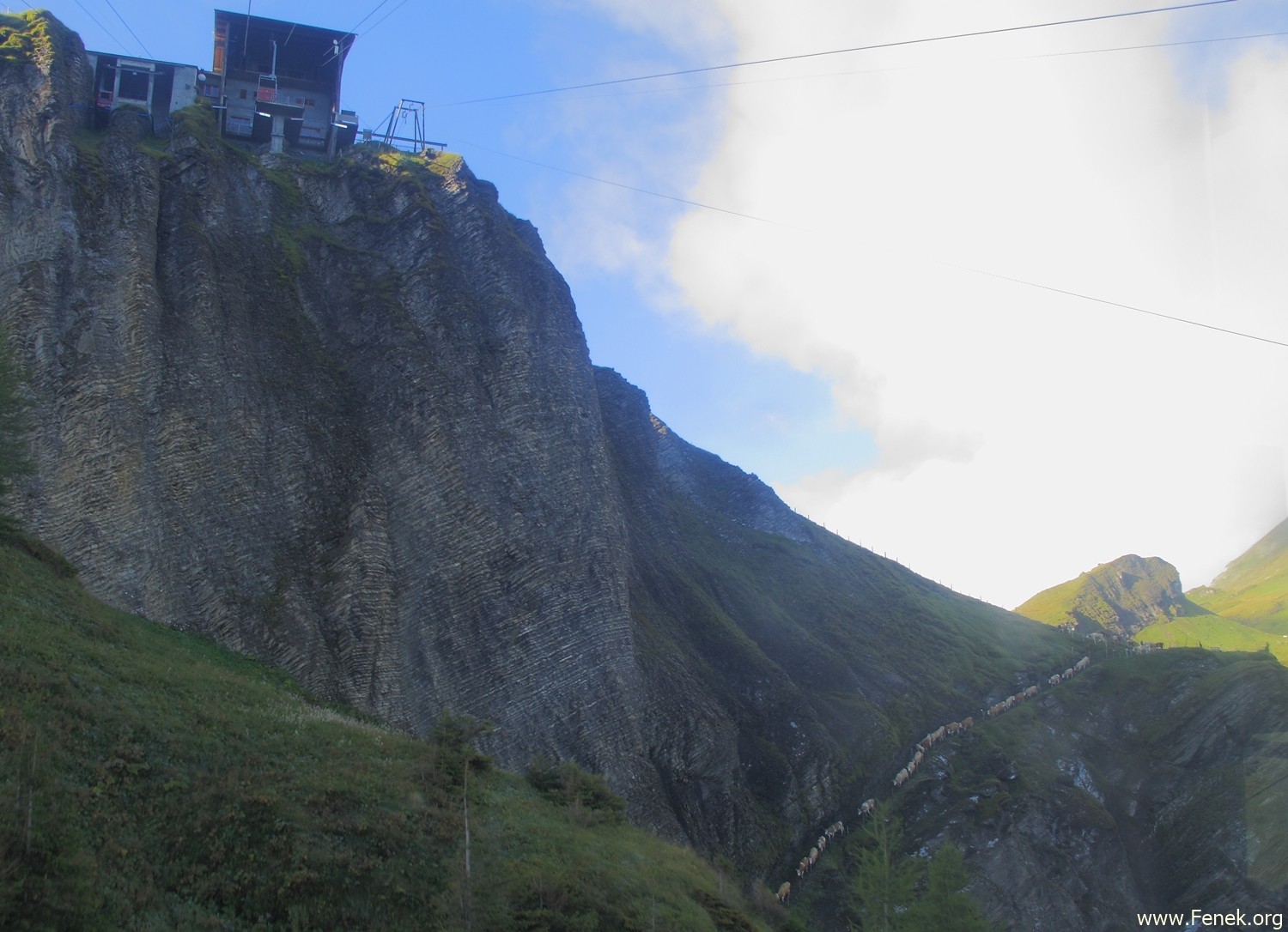Alpabzug von der Engstligenalp