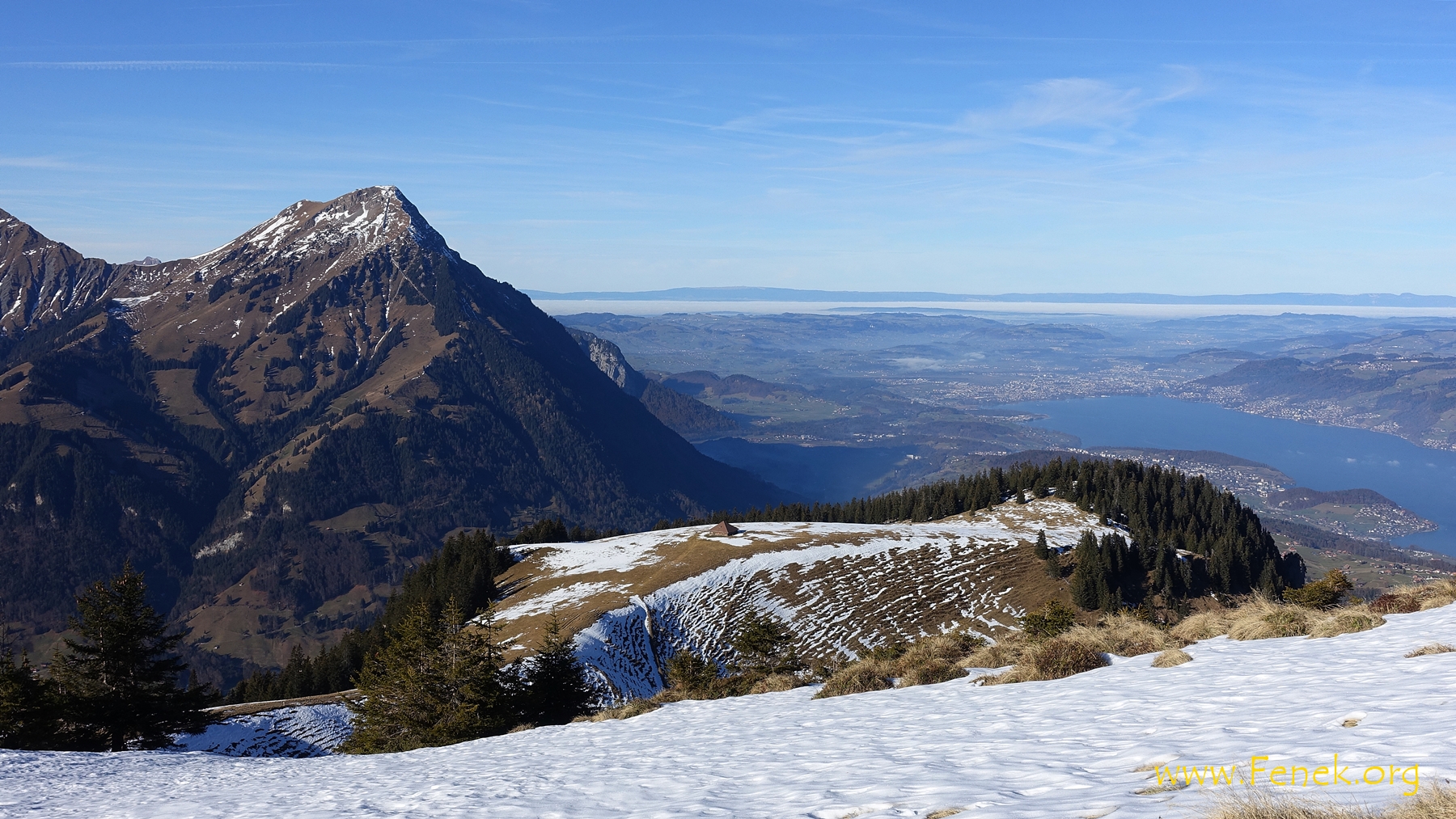 Engelhorn schon weiter unten