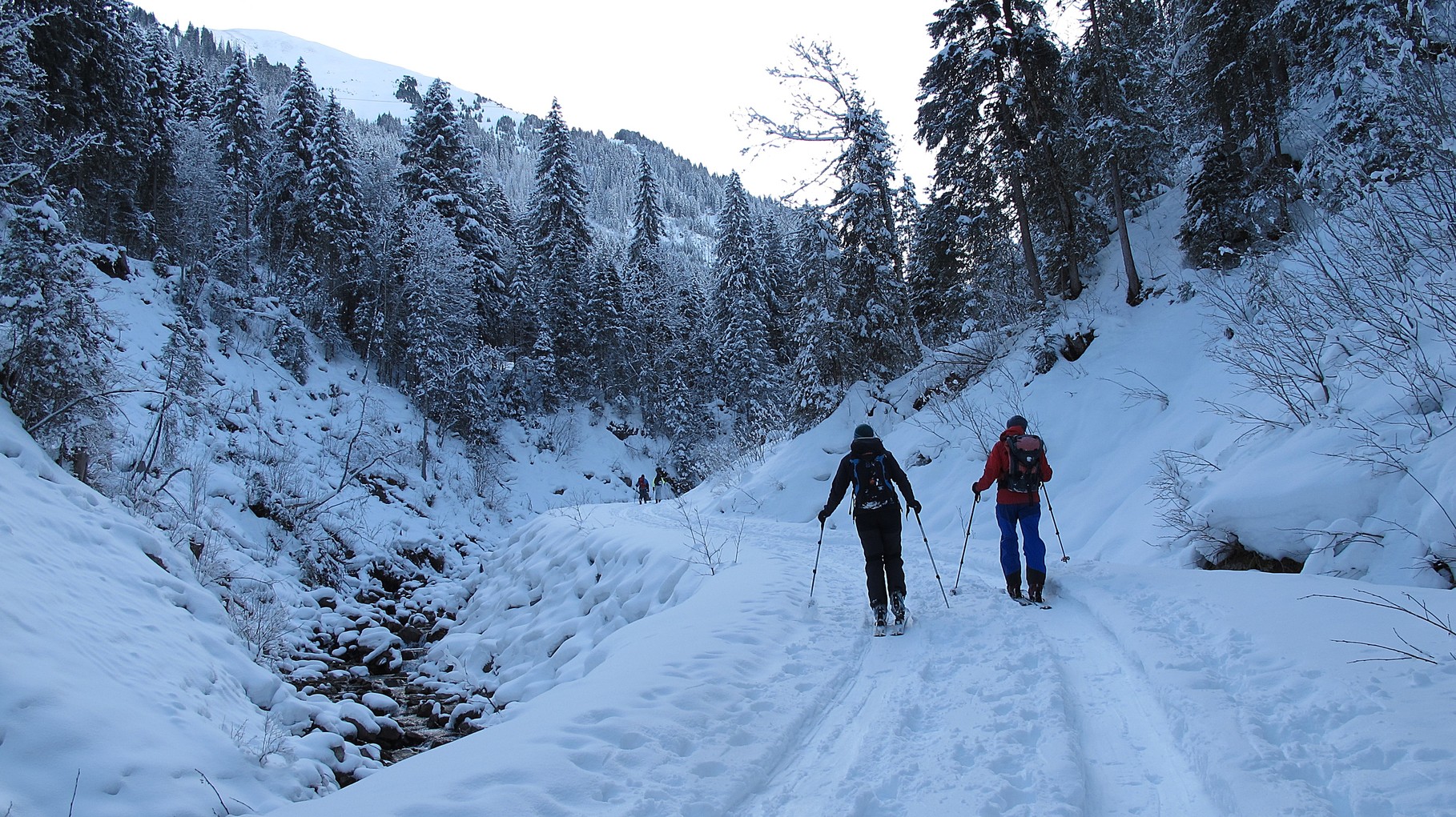 Aufstieg ins Chirel im Diemtigtal