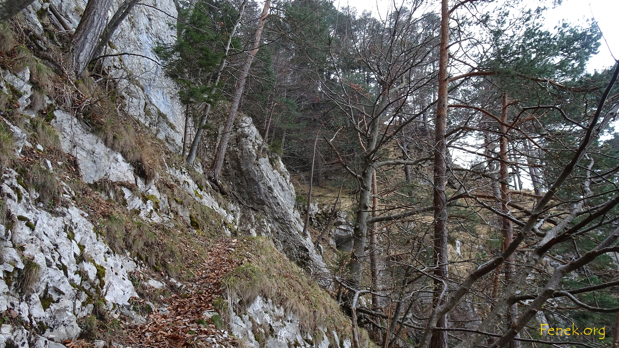 Ufpasse....