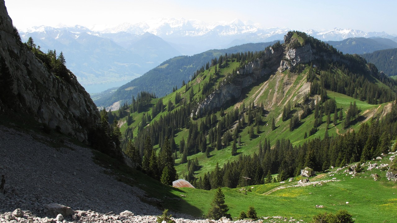 unten Alp Tumli