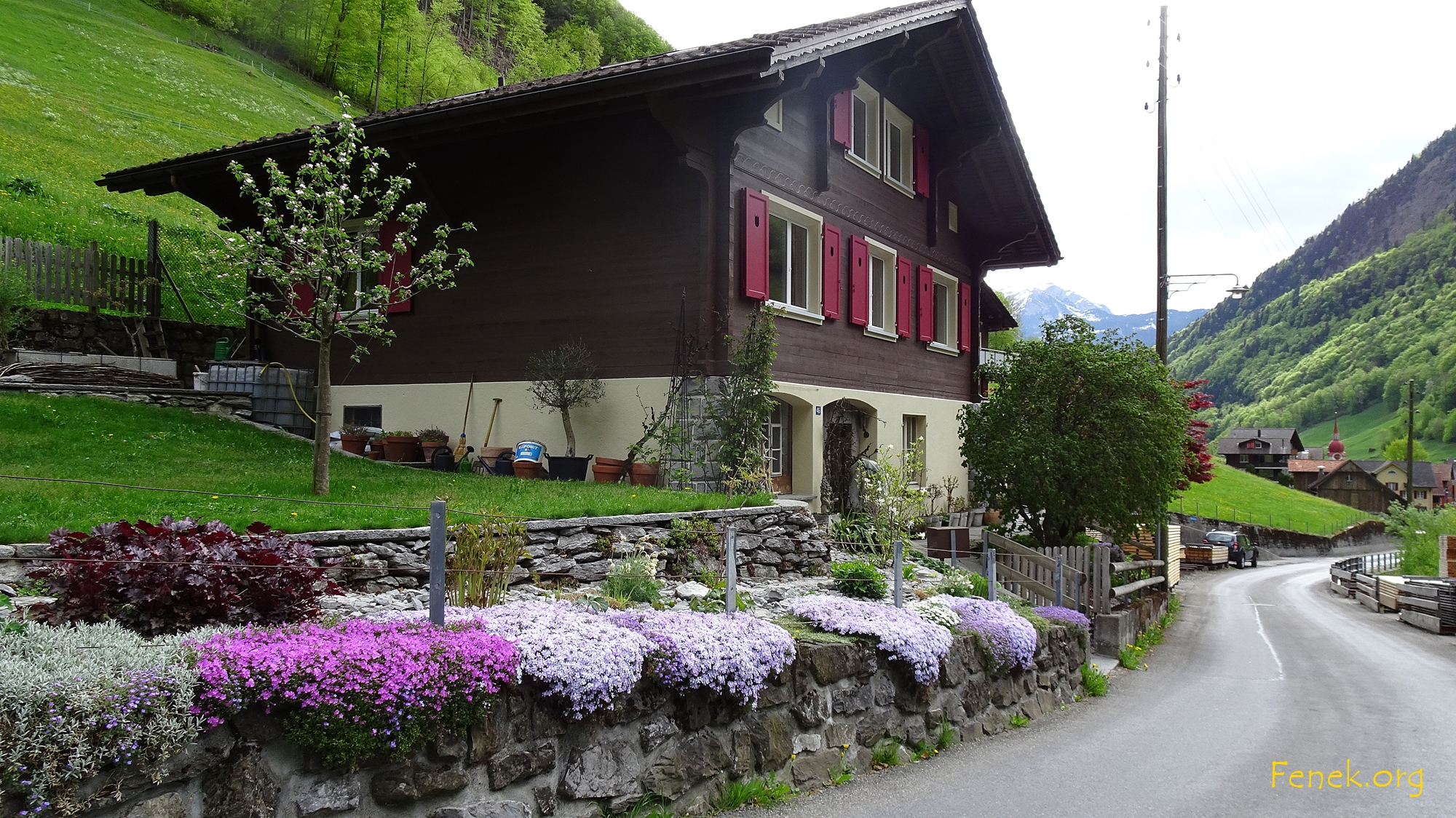 Frühlingspracht in Isenthal