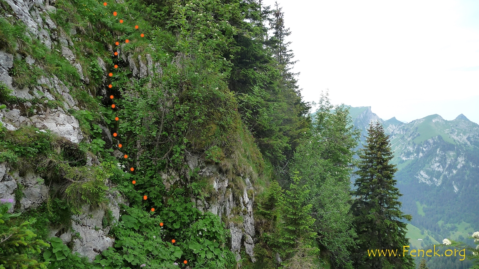 Route in der Felsstufe.....