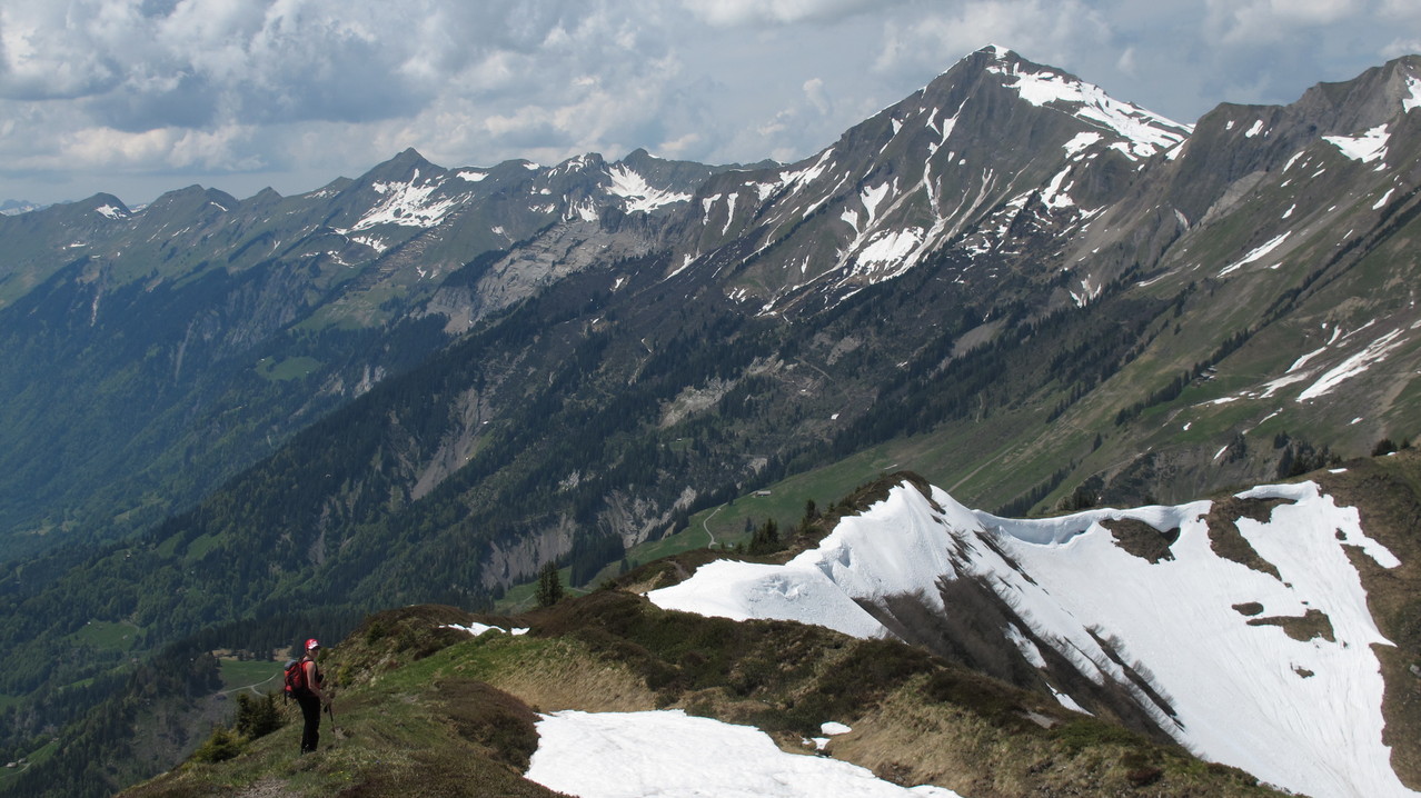 im Hintergrund Brienzer Rothorn