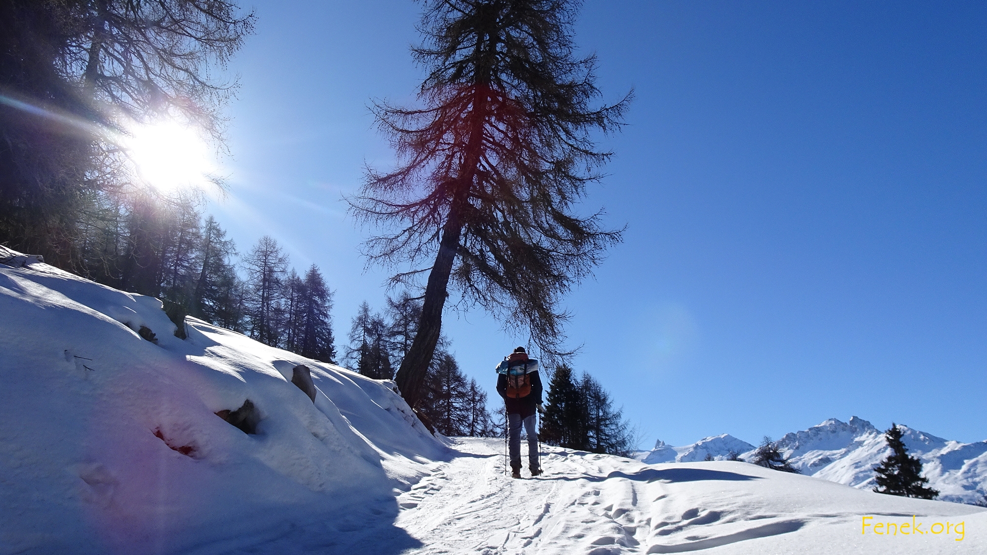aufwärts mit der Sonne im Gesicht